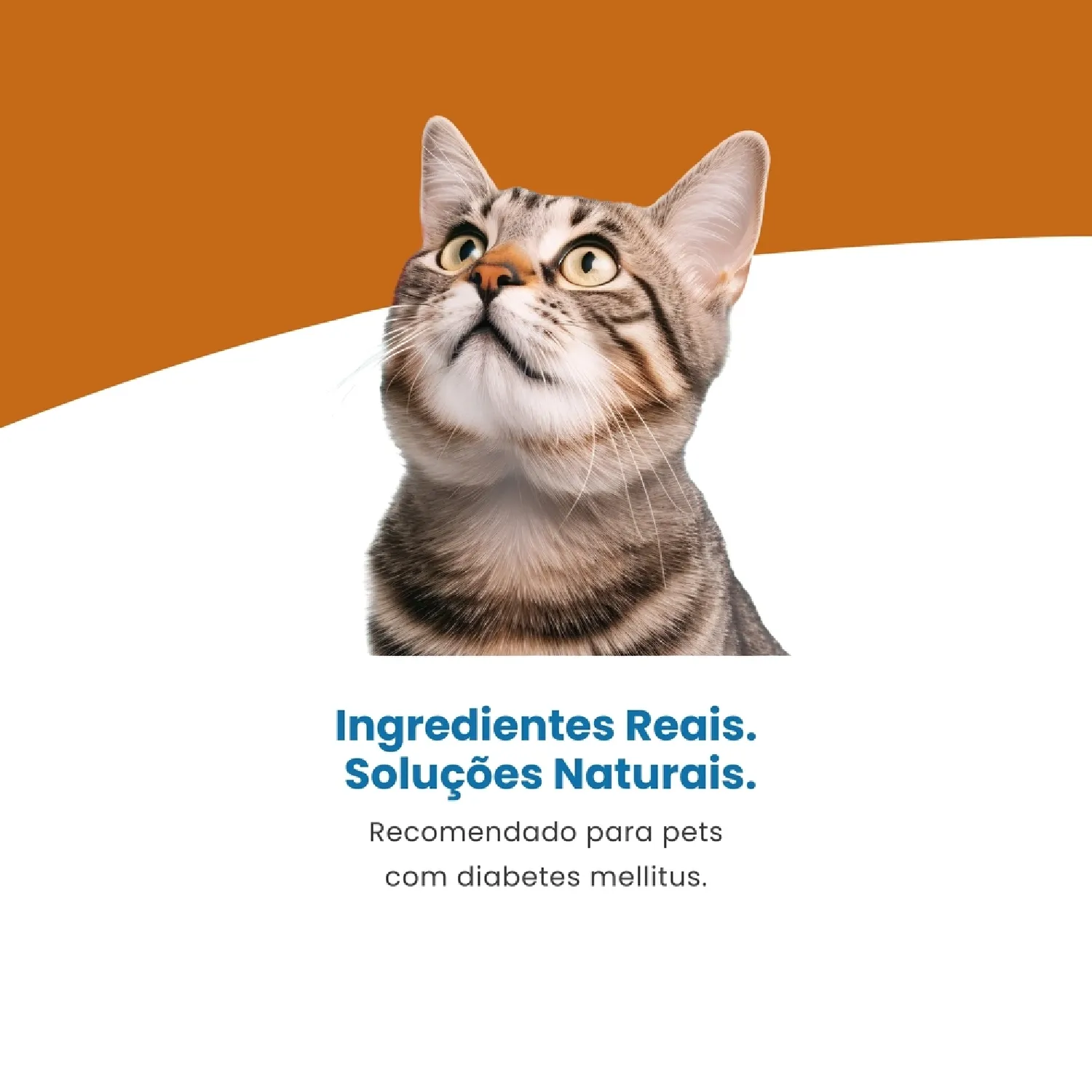 Racao Umida Vet Life Diabetic para Gatos Adultos 4
